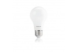 Bulbs L3-020