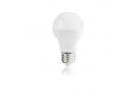 Bulbs L3-034