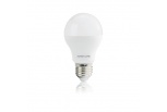 Bulbs L3-035