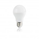 Bulbs L3-034